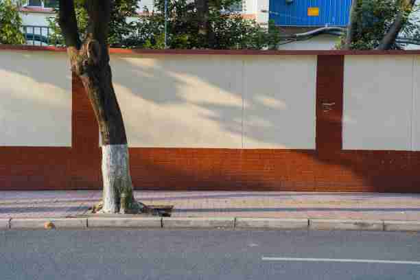 账号安全手册｜国产探花爆款作品打造秘籍，探花软件账号