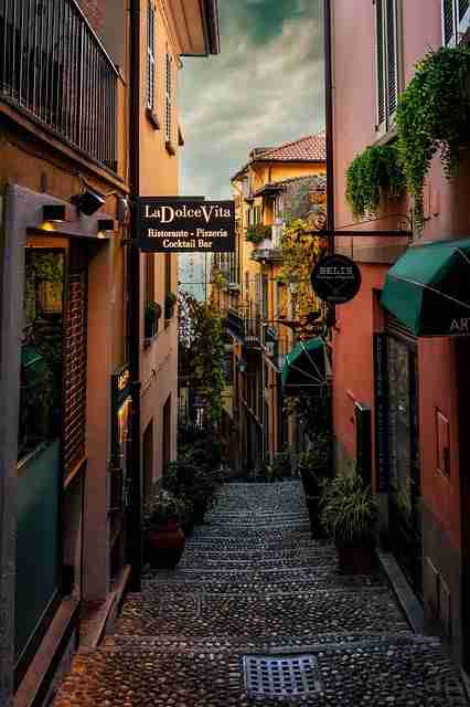 平台热推：蘑菇视频全网刷屏热榜，引发热议不断