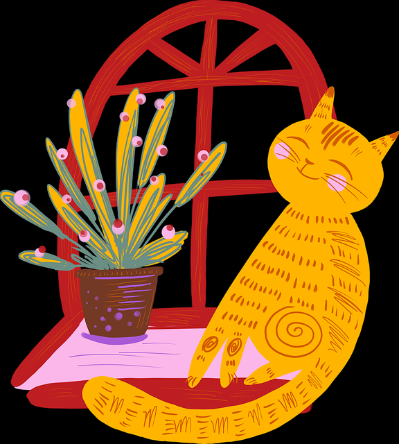 快手成人版短视频标题优化技巧-成长秘籍