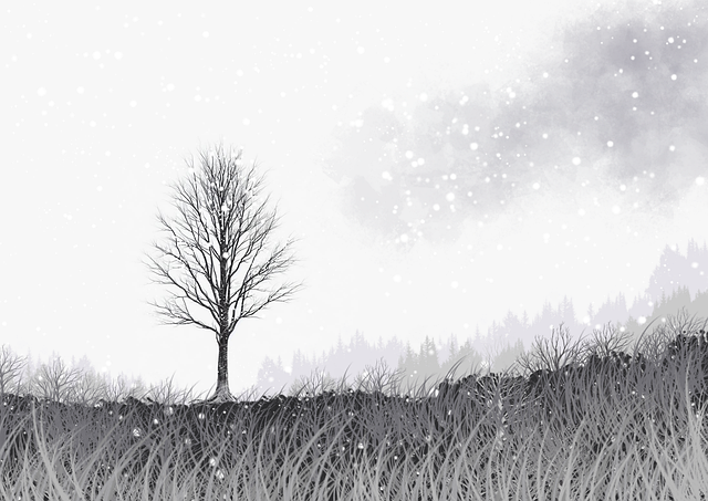 欧美一区二区三区会员权益详细解读｜使用技巧