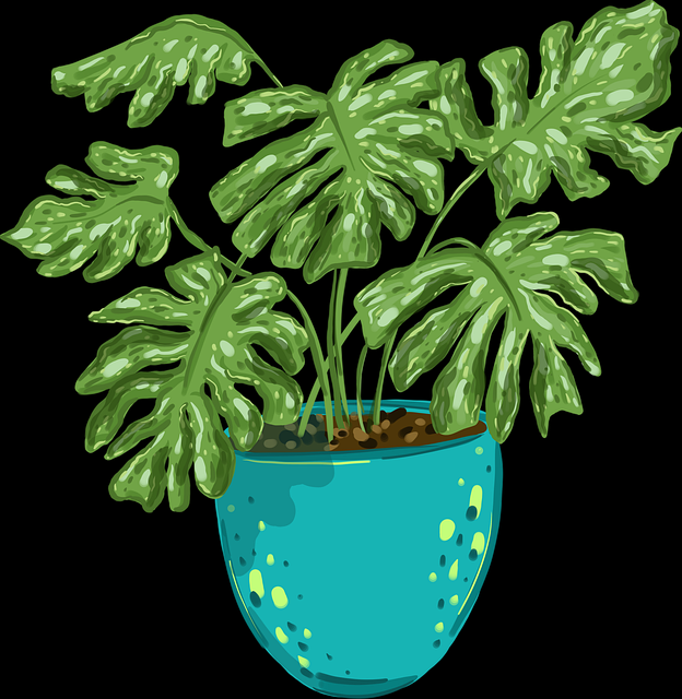 快手成人版内容创作者避坑指南-爆款法则