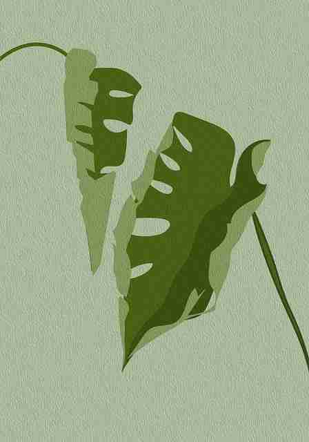 全网热议：91网黑料合集，信息量巨大，91论坛里面是真的吗