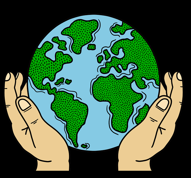 独家报道：91网流出黑幕，细节令人震惊