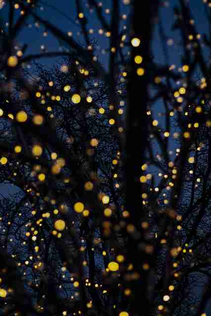 流量担当:蘑菇视频劲爆合集全网疯传,平台加班应对