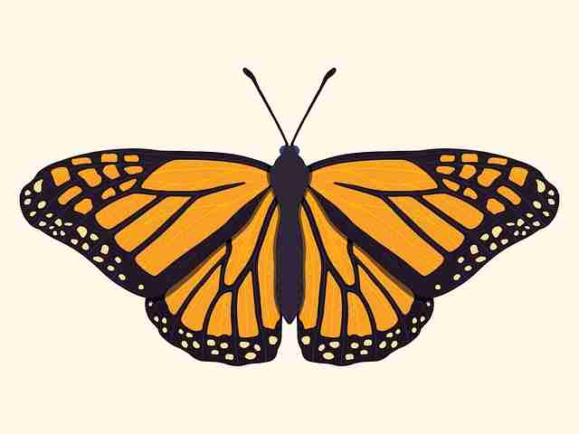 封禁现场：黑料网被曝操盘造谣，流量艺人瞬间暴跌