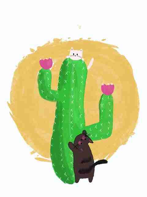 短视频内容策划｜抖音成人版热门短剧爆款打造流程